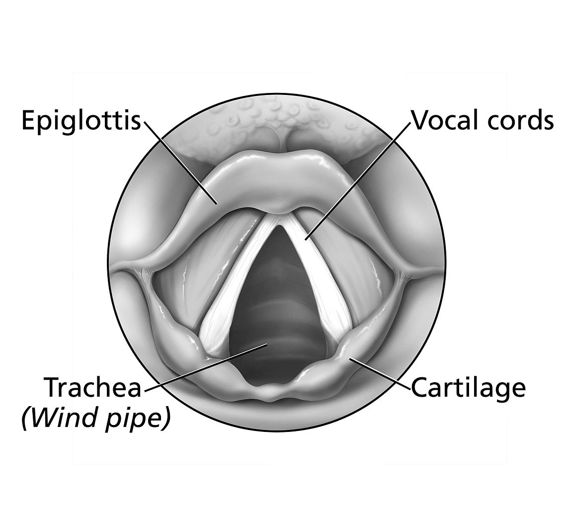 vocal fry