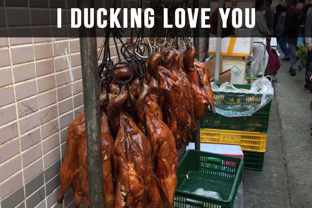 What do ducks have to do with love?
