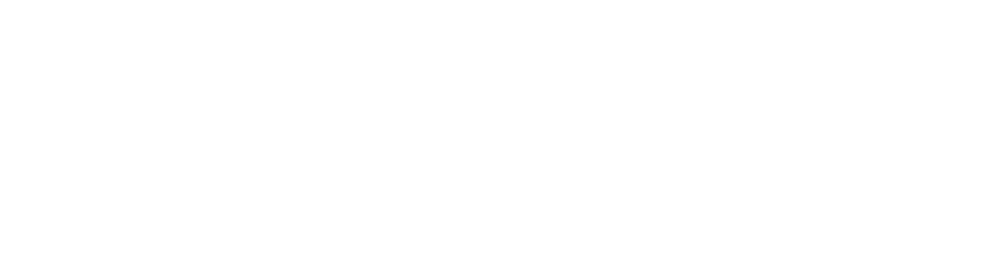 BRIC Language Learning